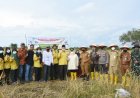 Bupati Bengkalis Kasmarni Panen Padi Bersama Kelompok Tani Mekar Jaya I