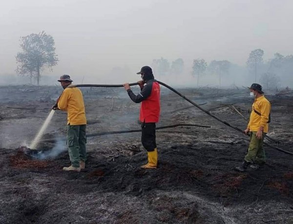 Karhutla Riau Kembali Jadi Ancaman Serius, Pakar Tekankan Kunci Pengelolaan Air Gambut dan Peran Masyarakat