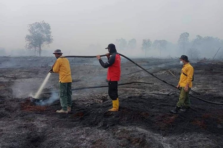 BPBD Riau Minta Daerah Percepat Tetapkan Status Siaga Karhutla