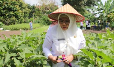Disketapang Pekanbaru Cek CPCL KWT Indrayani di Bencah Lesung, Pastikan Pengelolaan Lahan Aman
