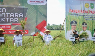 Duet Aprizal Sintong dan H Sulaiman Nakhodai Rohil, Bangun Proyek Strategis, Songsong Masyarakat Sejahtera