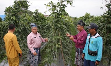 Dari SiCantig, Kota Pekanbaru Bersiap Wujudkan Kawasan Mandiri Pangan