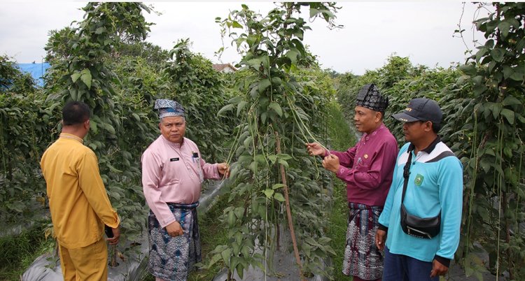 Dari SiCantig, Kota Pekanbaru Bersiap Wujudkan Kawasan Mandiri Pangan