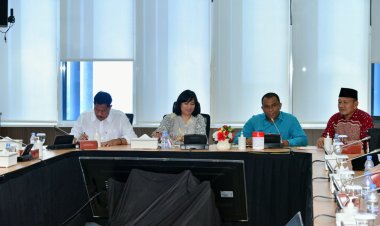 Pansus Ranperda Penyelenggaraan Penanggulangan Bencana DPRD Bengkalis Konsultasi ke BNPB