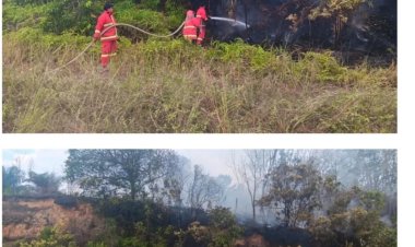 Hindari Karhutla, Masyarakat Diminta Jaga Kawasan Masing-masing 