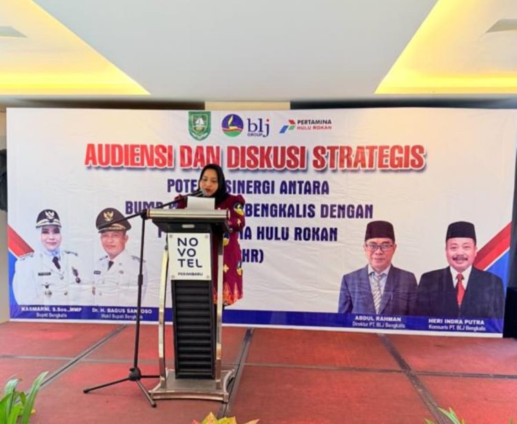 Gandeng PT BLJ (Perseroda) dan PHR, Pemkab Bengkalis Gelar Audiensi dan Diskusi Strategis
