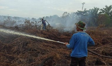 Berkat Kerja Sama Tim di Lapangan, BPBD Kota Dumai Berhasil Kendalikan Karhutla di Kelurahan Lubuk Gaung