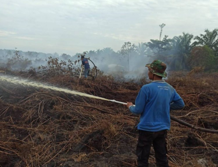 Berkat Kerja Sama Tim di Lapangan, BPBD Kota Dumai Berhasil Kendalikan Karhutla di Kelurahan Lubuk Gaung