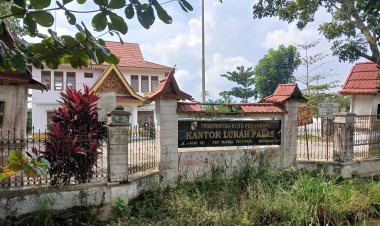 Lurah Palas tak Ketahui Pengelola Pasar Kaget Palas, Kemana Retribusi Sampah dan Parkir?