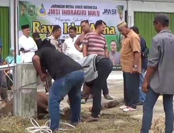 Bersama JMSI Inhu, Agrinas Palma Nusantara dan Pemkab Inhu Potong 2 Ekor Sapi