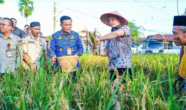 Panen Perdana Padi Gogo di Meranti Pandak, Wali Kota Agung Nugroho Serahkan Bantuan Alsintan dan Serap Aspirasi Petani