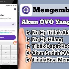Solusi Cepat Saat OVO Gagal Login Berkali-kali