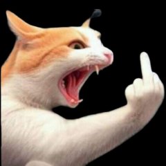 Ban BNDI