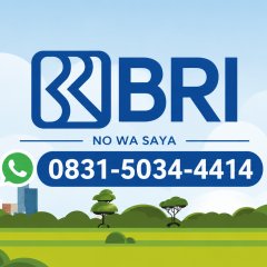 Cara mengatasi akun BRImo terblokir Solusi cara atasi lupa PIN akun BRImo